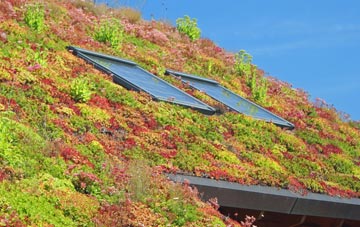 Hillview living roof systems