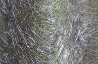 Hillview fibreglass roof work